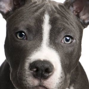 Meet your Posher, Tim